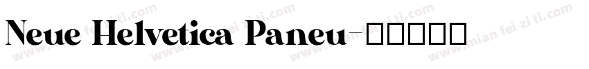 Neue Helvetica Paneu字体转换